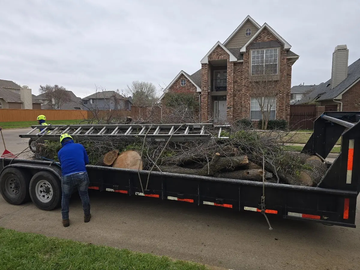 Expert Tree Pest Control with proper safety equipment in Pine Village